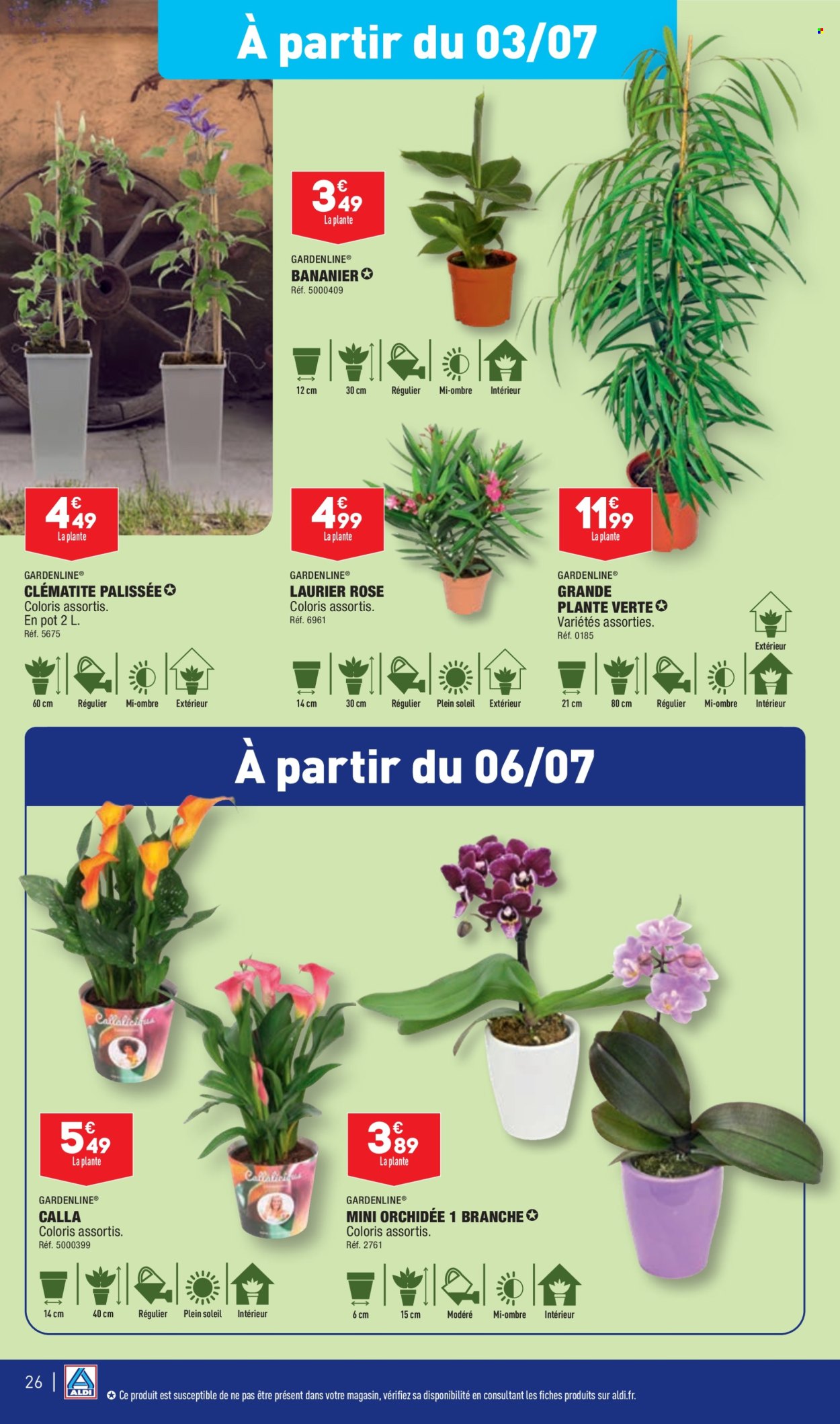 thumbnail - Catalogue ALDI - 02/07/2024 - 08/07/2024 - Produits soldés - plantes vertes, laurier rose, bananier. Page 28.