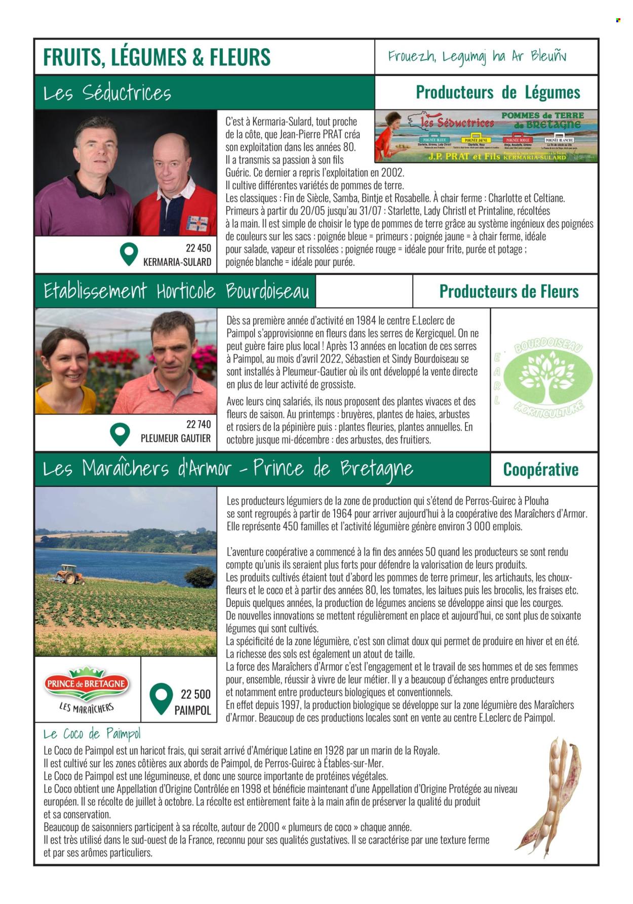 thumbnail - Catalogue E.Leclerc - 02/07/2024 - 30/06/2025 - Produits soldés - fraises, tomates, artichaut, brocoli, haricots, pommes de terre, purée, rissolées, plantes vivaces, plante fleurie. Page 2.