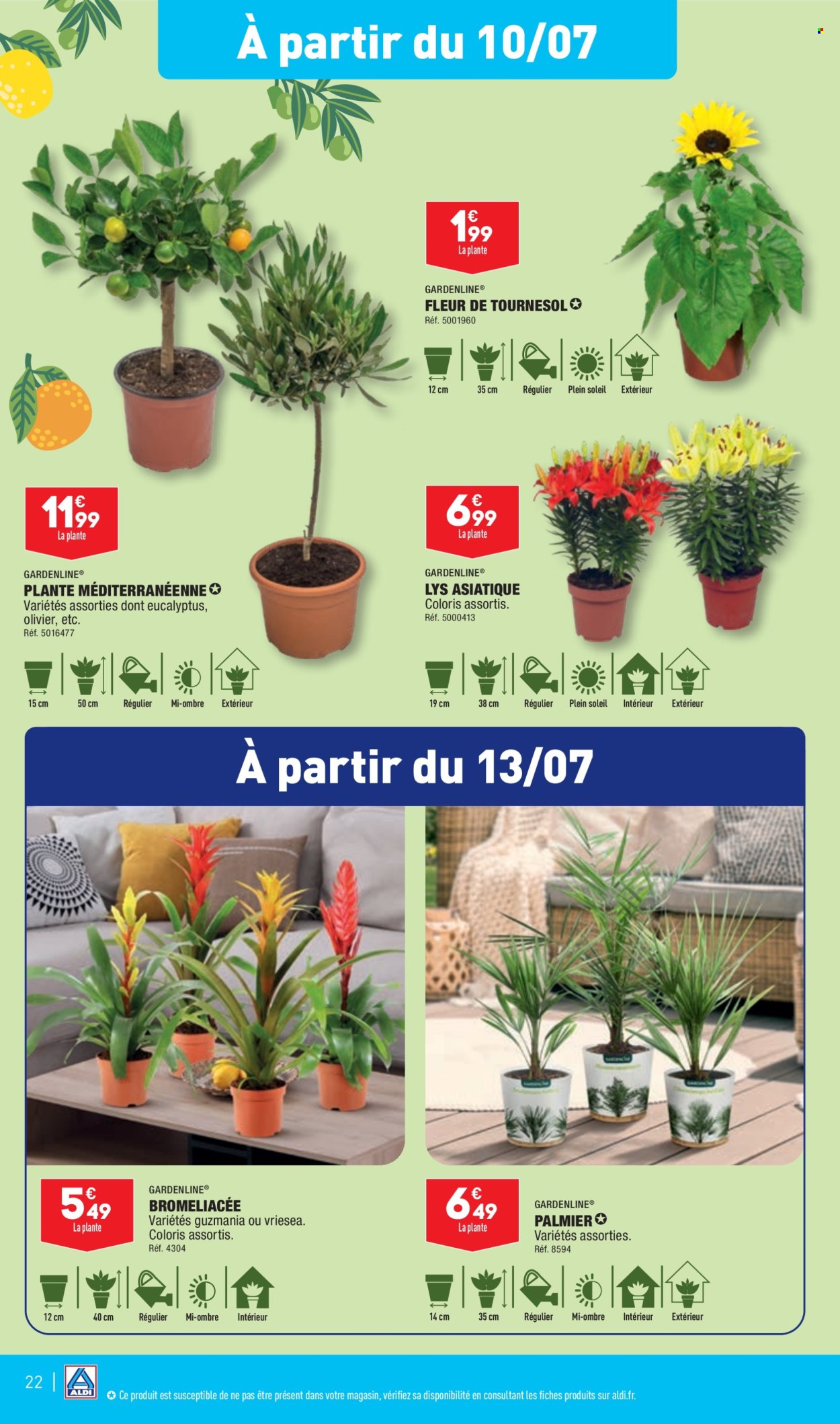 thumbnail - Catalogue ALDI - 09/07/2024 - 15/07/2024 - Produits soldés - fleur, lys asiatique, palmier, olivier. Page 24.