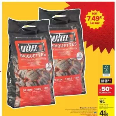 Weber Briquettes