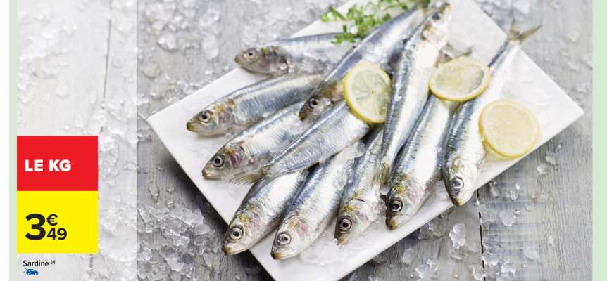 SARDINE