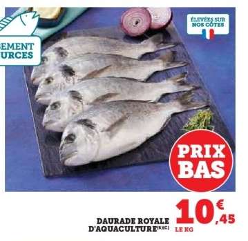DAURADE ROYALE D'AQUACULTURE