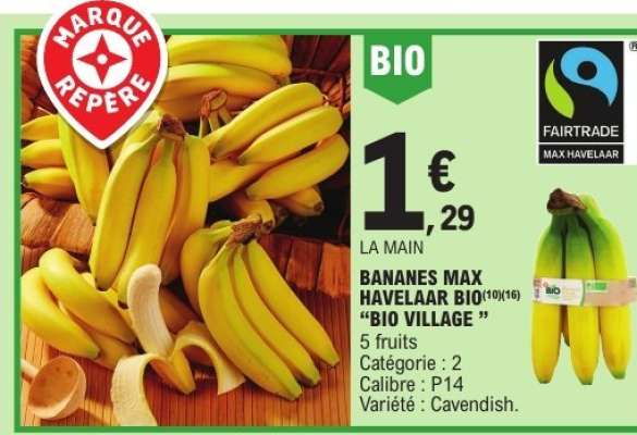 BANANES MAX HAVELAAR BIO "BIO VILLAGE"