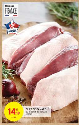 FILET DE CANARD