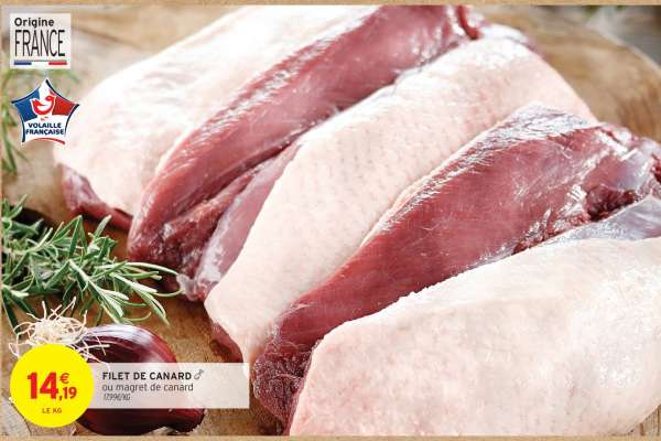 FILET DE CANARD