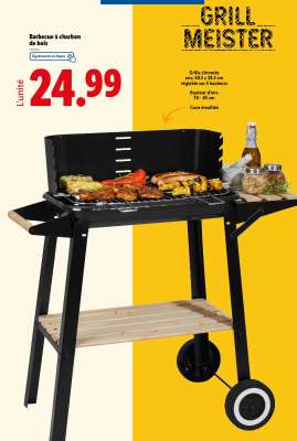 Barbecue à charbon de bois