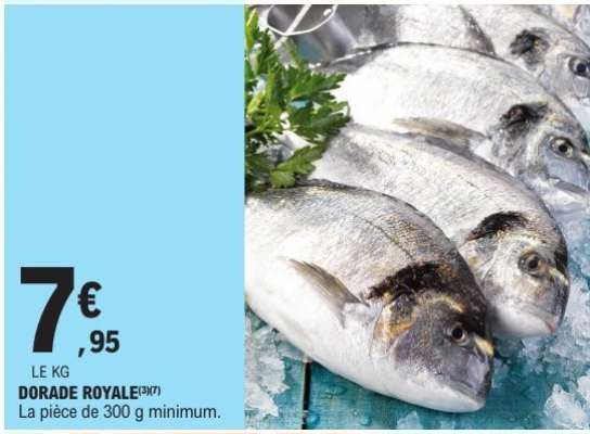 DORADE ROYALE
