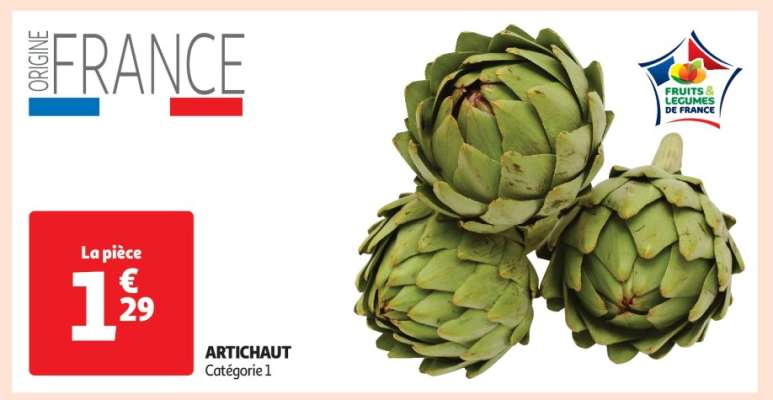 ARTICHAUT