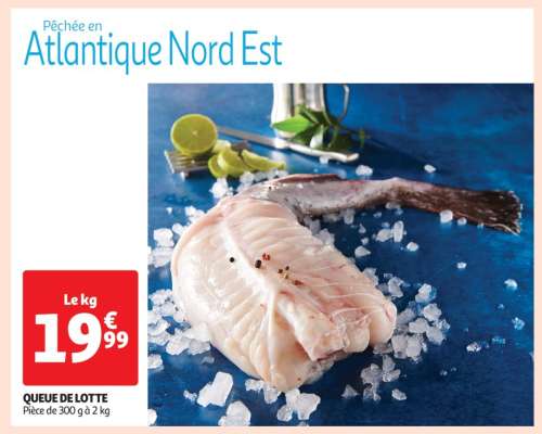 QUEUE DE LOTTE