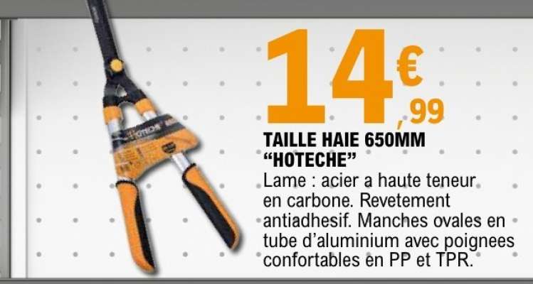 TAILLE HAIE 650MM "HOTECH"