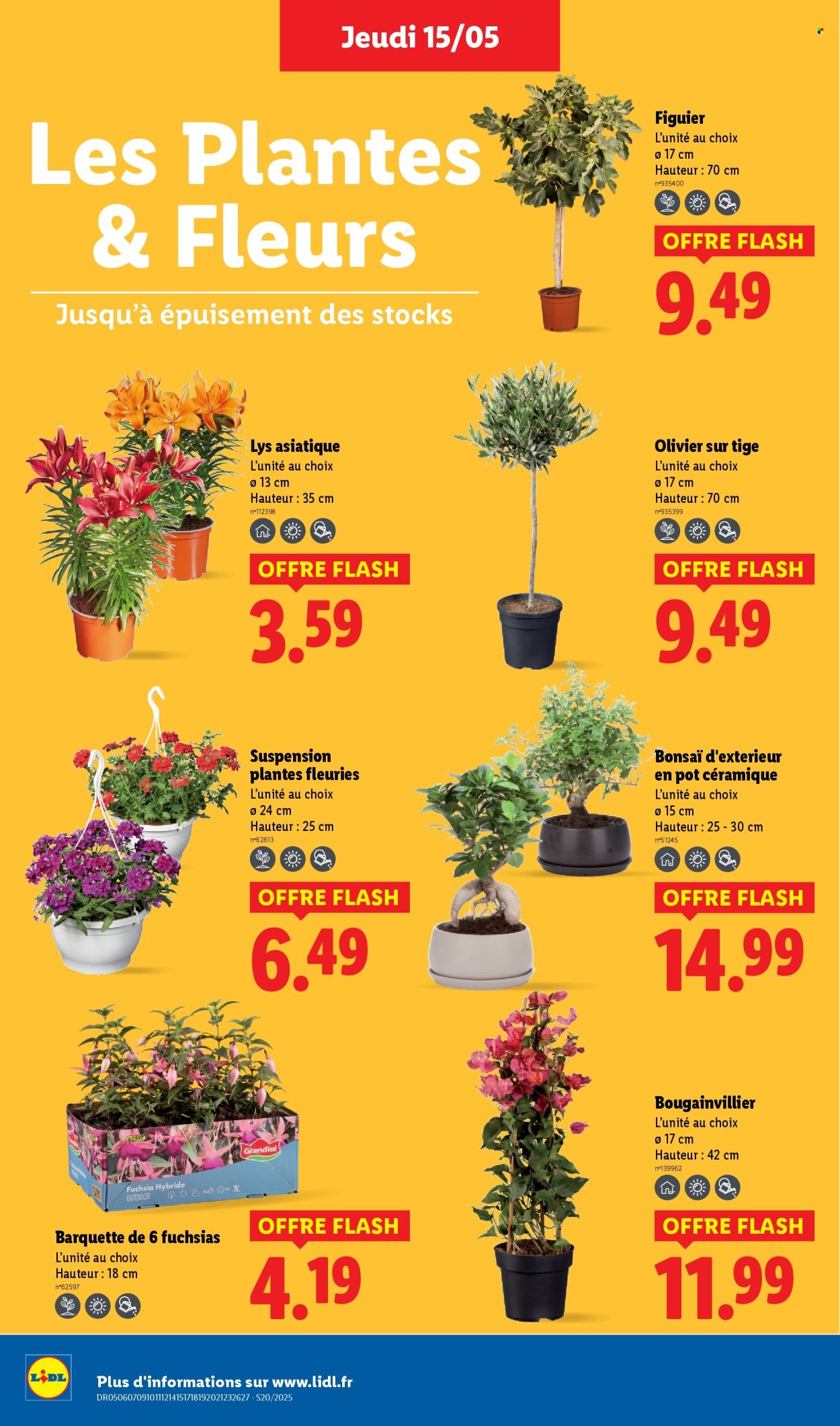 Catalogue Lidl - 15/05/2025 - 21/05/2025. Page 1