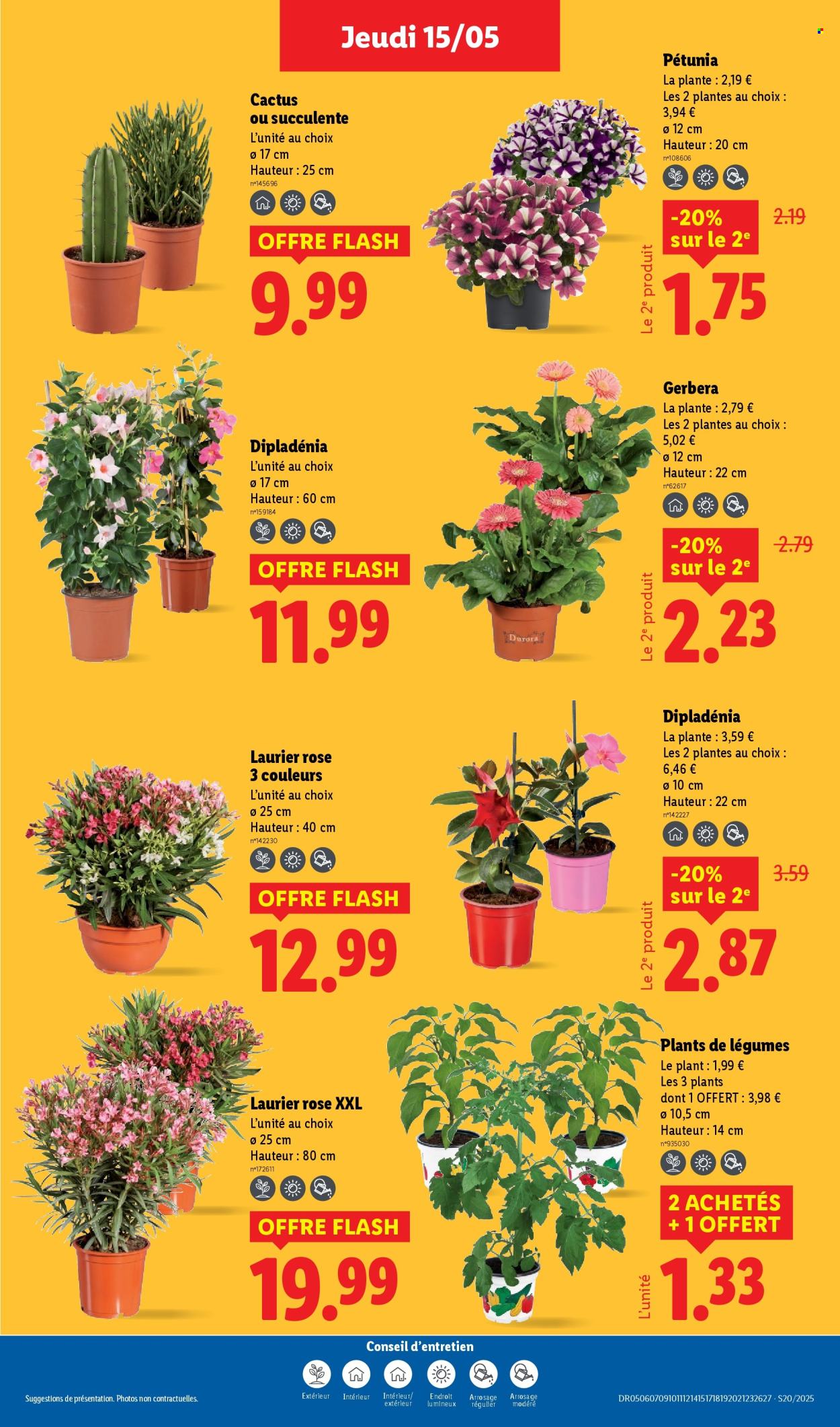 Catalogue Lidl - 15/05/2025 - 21/05/2025. Page 1