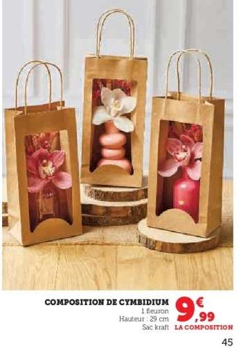 COMPOSITION DE CYMBIDIUM