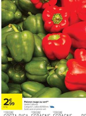 Poivron rouge ou vert