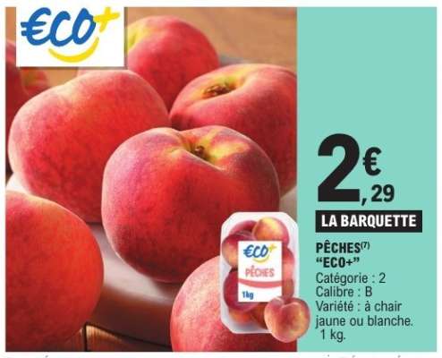 PÊCHES "ECO+"