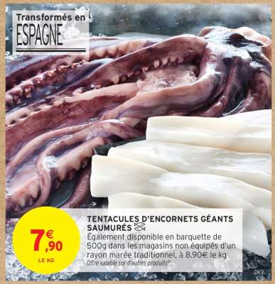 TENTACULES D'ENCORNETS GÉANTS SAUMURÉS